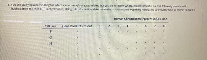 5 You Are Studying A Particular Gene Which Causes Ankylosing Spondylitis But You Do Not Know Which Chromosome It Is On 1