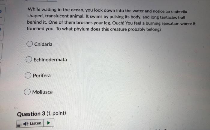18 5 18 21 1 15 12 9 31 6 Listen Lampreys And Hagfishes Have Lobed Fins Are More Closely Related To Ray Finned Fish Th 2