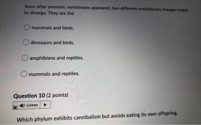 Soon After Amniotic Vertebrates Appeared Two Different Evolutionary Lineages Began To Diverge They Are The Mammals And 1