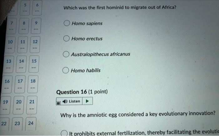 7 1 5 8 Ww 10 11 12 22 23 9 13 14 15 6 1 16 17 18 19 20 21 24 Which Was The First Hominid To Migrate Out Of Africa Hom 1