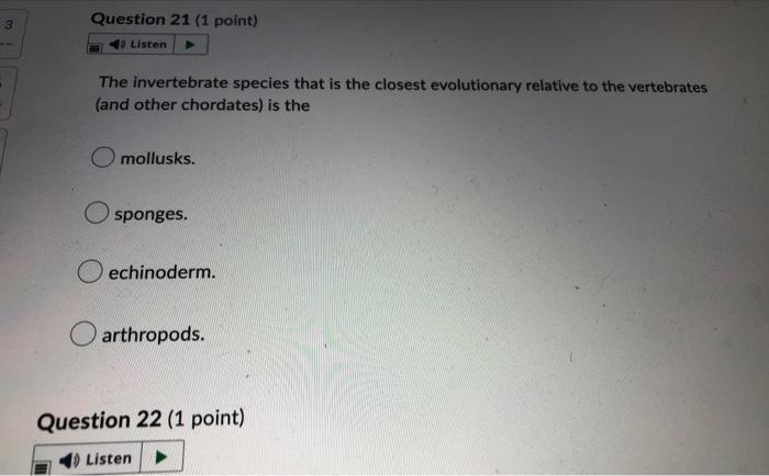 3 Question 21 1 Point 40 Listen The Invertebrate Species That Is The Closest Evolutionary Relative To The Vertebrates 1