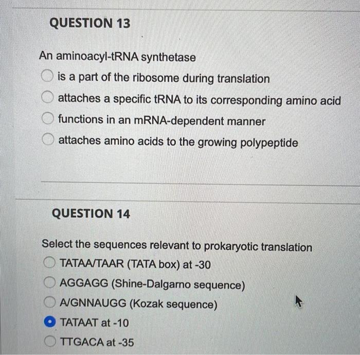 Question 13 An Aminoacyl Trna Synthetase Is A Part Of The Ribosome During Translation Attaches A Specific Trna To Its Co 1