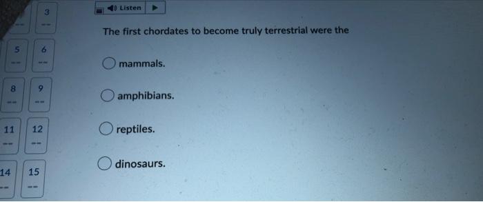 1 5 8 14 1 9 11 12 15 3 6 40 Listen The First Chordates To Become Truly Terrestrial Were The Mammals Amphibians O Rept 1