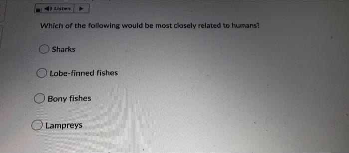 Listen Which Of The Following Would Be Most Closely Related To Humans Sharks Lobe Finned Fishes Bony Fishes Lampreys 4 1