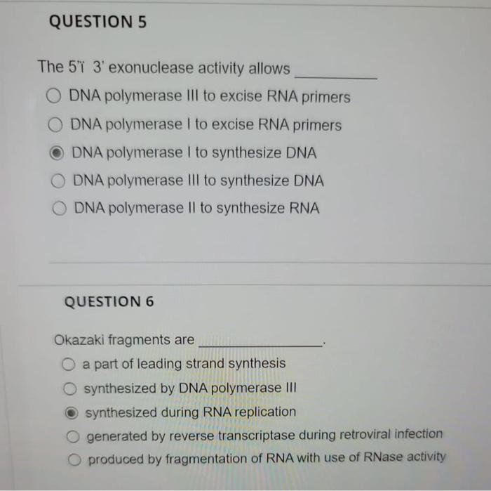 Question 5 The 5 3 Exonuclease Activity Allows O Dna Polymerase Iii To Excise Rna Primers O Dna Polymerase I To Excise 2