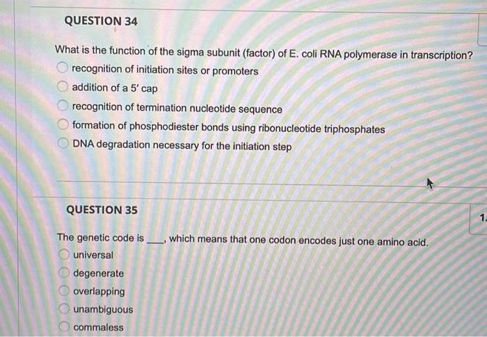 Question 5 The 5 3 Exonuclease Activity Allows O Dna Polymerase Iii To Excise Rna Primers O Dna Polymerase I To Excise 3