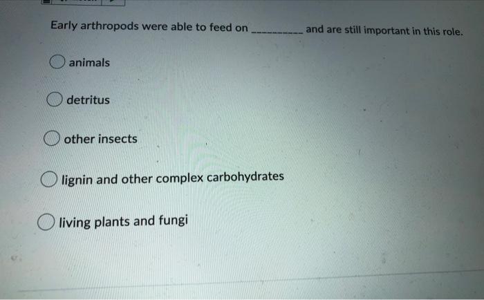 Early Arthropods Were Able To Feed On Animals Detritus Other Insects Lignin And Other Complex Carbohydrates Living Plant 1