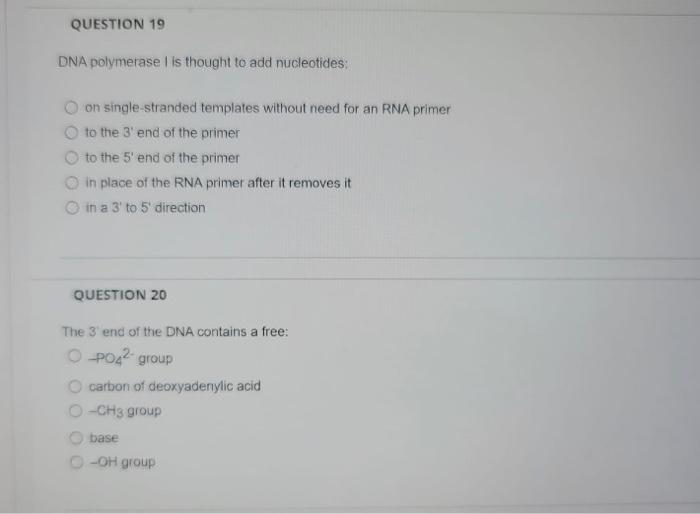 Question 19 Dna Polymerase I Is Thought To Add Nucleotides On Single Stranded Templates Without Need For An Rna Primer 1