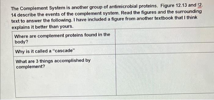 The Complement System Is Another Group Of Antimicrobial Proteins Figure 12 13 And 2 14 Describe The Events Of The Com 1
