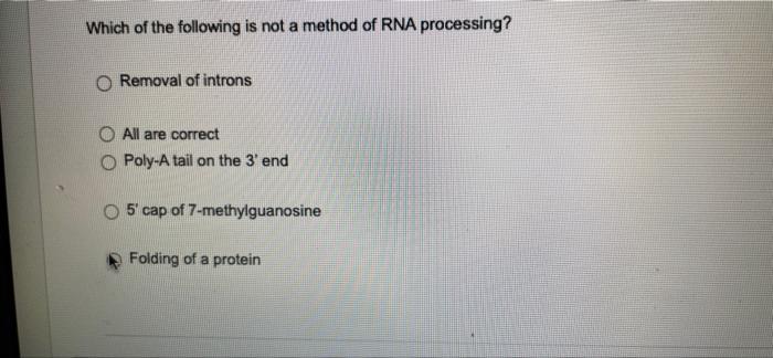 Which Of The Following Is Not A Method Of Rna Processing Removal Of Introns All Are Correct Poly A Tail On The 3 End 5 1