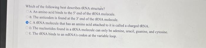 Which Of The Following Best Describes Trna Structure Oa An Amino Acid Binds To The 5 End Of The Trna Molecule Ob The 1