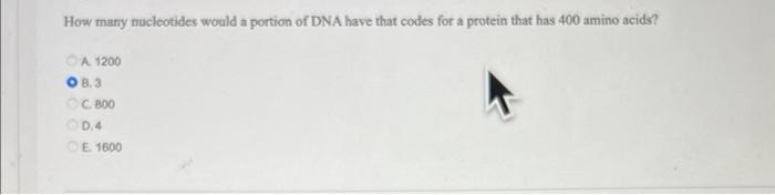 How Many Nucleotides Would A Portion Of Dna Have That Codes For A Protein That Has 400 Amino Acids A 1200 Ob 3 Oc 800 1