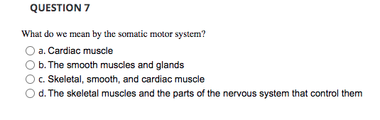 Question 7 What Do We Mean By The Somatic Motor System A Cardiac Muscle B The Smooth Muscles And Glands C Skeletal 1
