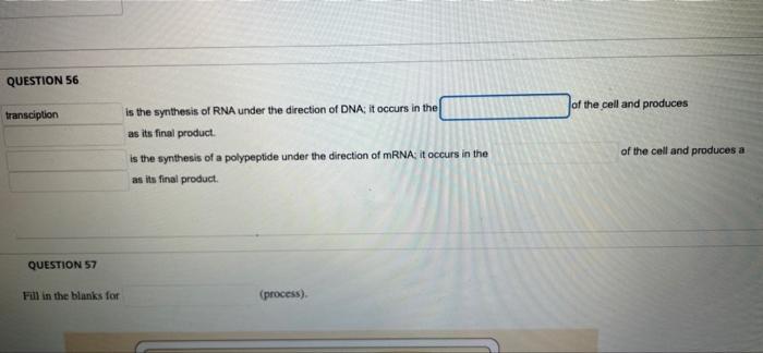 Question 56 Transciption Question 57 Fill In The Blanks For Is The Synthesis Of Rna Under The Direction Of Dna It Occur 1
