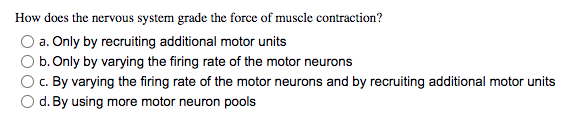 How Does The Nervous System Grade The Force Of Muscle Contraction A Only By Recruiting Additional Motor Units B Only 1