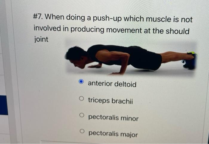 4 If An Individual Stands In Anatomical Position And Then Laterally Flexes The Trunk Which Muscle Is The Primary Agon 3