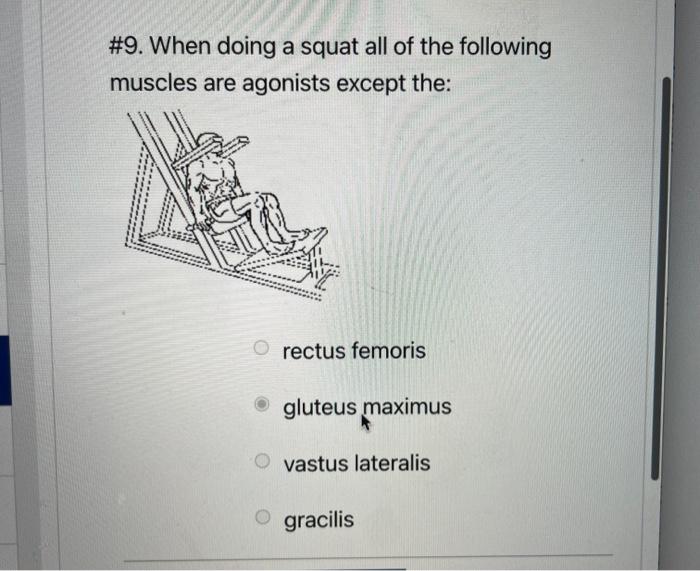 4 If An Individual Stands In Anatomical Position And Then Laterally Flexes The Trunk Which Muscle Is The Primary Agon 6