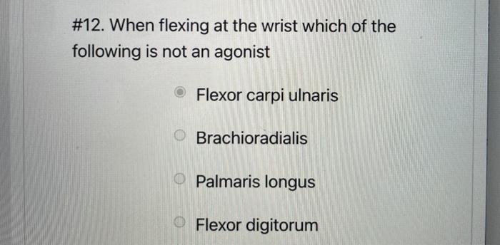 4 If An Individual Stands In Anatomical Position And Then Laterally Flexes The Trunk Which Muscle Is The Primary Agon 7