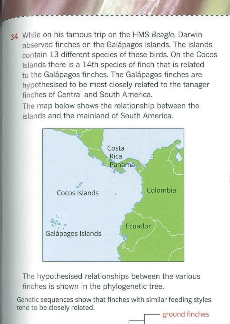 34 While On His Famous Trip On The Hms Beagle Darwin Observed Finches On The Galapagos Islands The Islands Contain 13 1