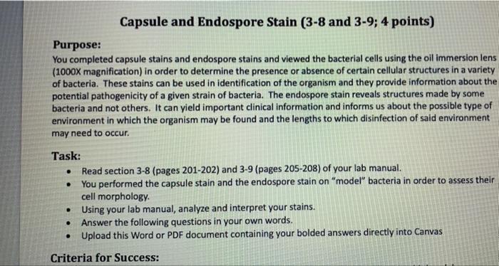 Capsule And Endospore Stain 3 8 And 3 9 4 Points Purpose You Completed Capsule Stains And Endospore Stains And Viewe 1