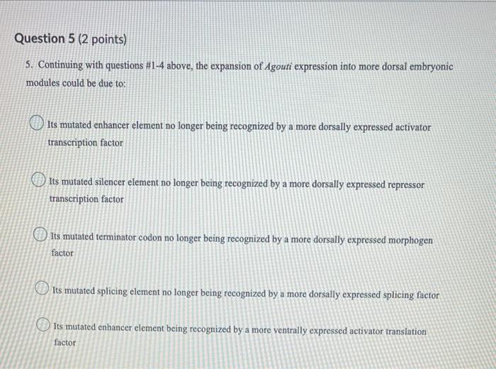 Question 5 2 Points 5 Continuing With Questions 1 4 Above The Expansion Of Agouti Expression Into More Dorsal Embr 1