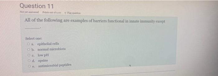 Question 11 Not Yet Answered Points Out Of A 00 Mag Question All Of The Following Are Examples Of Barriers Functional I 1