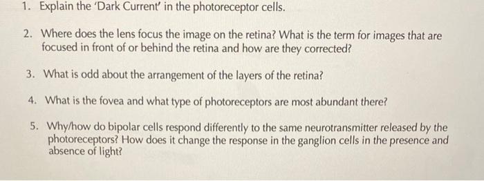 1 Explain The Dark Current In The Photoreceptor Cells 2 Where Does The Lens Focus The Image On The Retina What Is 1