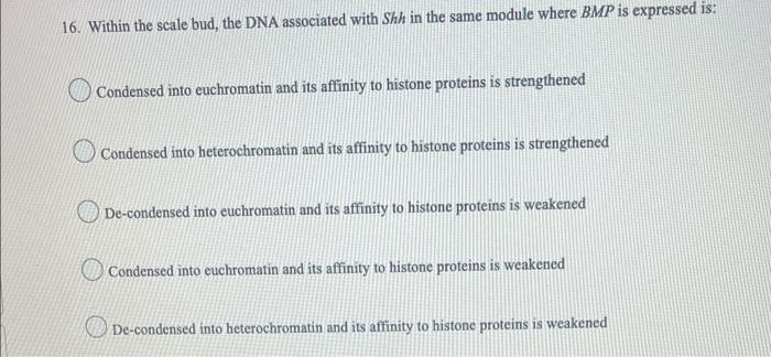 16 Within The Scale Bud The Dna Associated With Shh In The Same Module Where Bmp Is Expressed Is Condensed Into Euchr 1