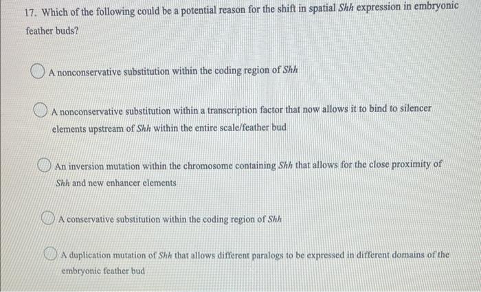 16 Within The Scale Bud The Dna Associated With Shh In The Same Module Where Bmp Is Expressed Is Condensed Into Euchr 2