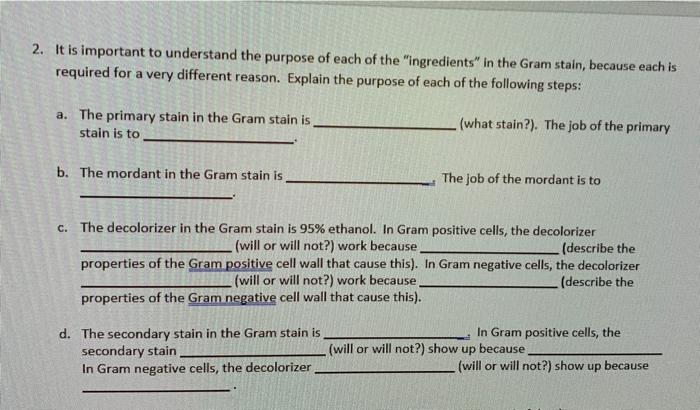 Or Converted To A Pdf Purpose You Completed The Gram Stain And Viewed The Bacterial Cells Using The Oil Immersion Lens 2