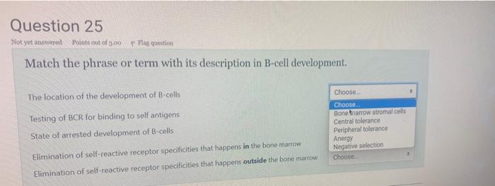Question 25 Not Yet Answered Points Out Of 3 00 Flag Question Match The Phrase Or Term With Its Description In B Cell De 1