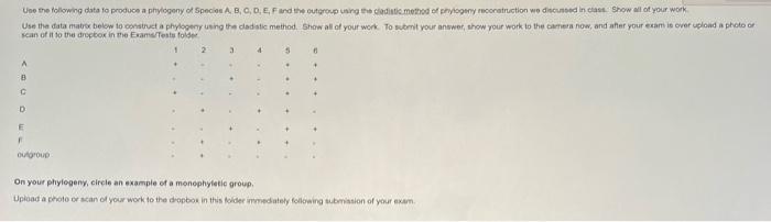 Use The Following Data To Produce A Phylogeny Of Species A B C D E F And The Outgroup Using The Cladistic Method Of 1