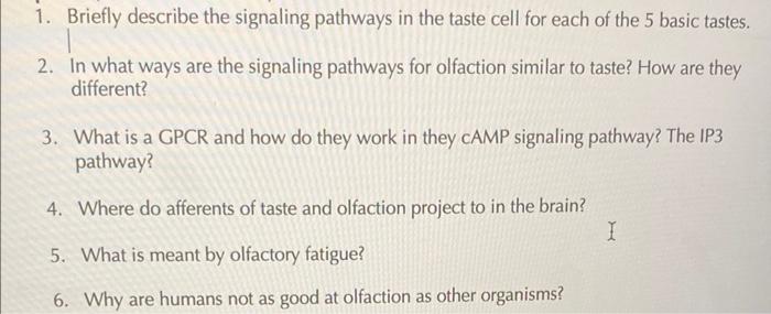 1 Briefly Describe The Signaling Pathways In The Taste Cell For Each Of The 5 Basic Tastes 2 In What Ways Are The Sig 1