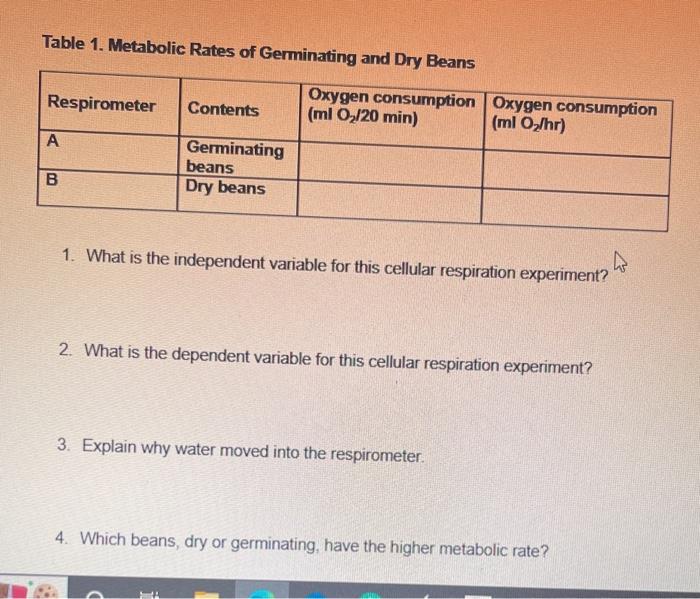 Table 1 Metabolic Rates Of Germinating And Dry Beans Oxygen Consumption Ml O 20 Min Respirometer A B 53 Contents Ger 2