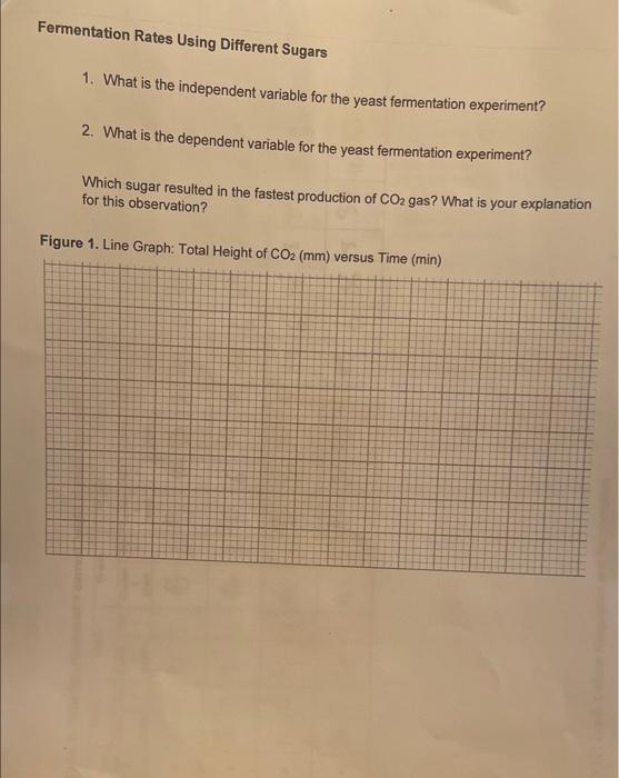 Table 1 Metabolic Rates Of Germinating And Dry Beans Oxygen Consumption Ml O 20 Min Respirometer A B 53 Contents Ger 5