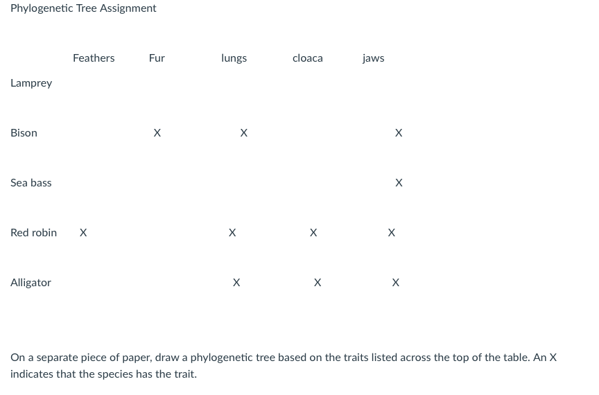 Phylogenetic Tree Assignment Lamprey Bison Sea Bass Feathers Red Robin X Alligator Fur X Lungs X X X Cloaca X X Jaws X X 1