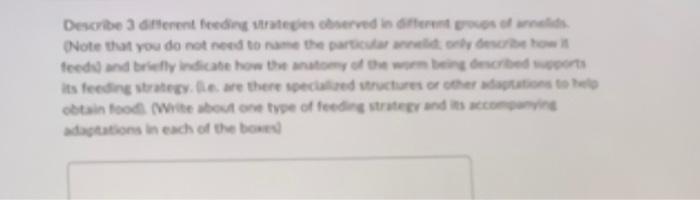 Describe 3 Different Feeding Strategies Observed In Different Groups Of Annelids Note That You Do Not Need To Name The 1