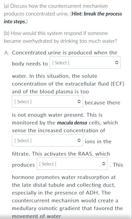 I Need Help Please 1 Reduce Conserve 2 Low High 3 Potassium Sodium 4 Cortisol Aldosterone 5 Out Of Into 6 Back Into Fro 2