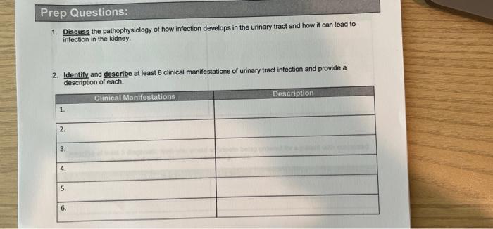 Prep Questions 1 Discuss The Pathophysiology Of How Infection Develops In The Urinary Tract And How It Can Lead To Inf 1