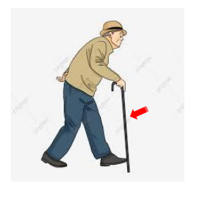 You Have Been Asked To Select The Best Material For Redesigning A Walking Stick Figure Q4 A It Is Basically A Long 2