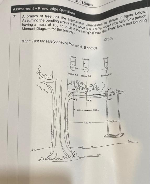 Assessment Knowledge Questions A Branch Of Tree Has The Approximate As Shown In Figure Below Having A Mass Of 135 Kg 1