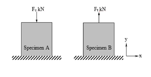 Fekn Specimen A Ft Kn Specimen B X 1