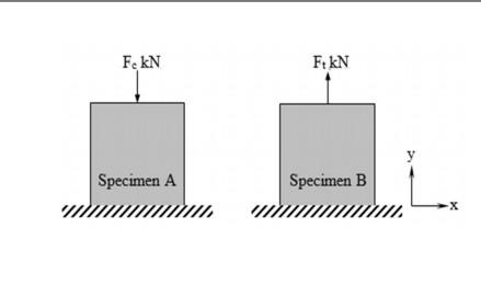 Fekn Specimen A Ft Kn Specimen B X Fekn Specimen A Ft Kn Specimen B X 1