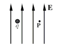 9 P E 1