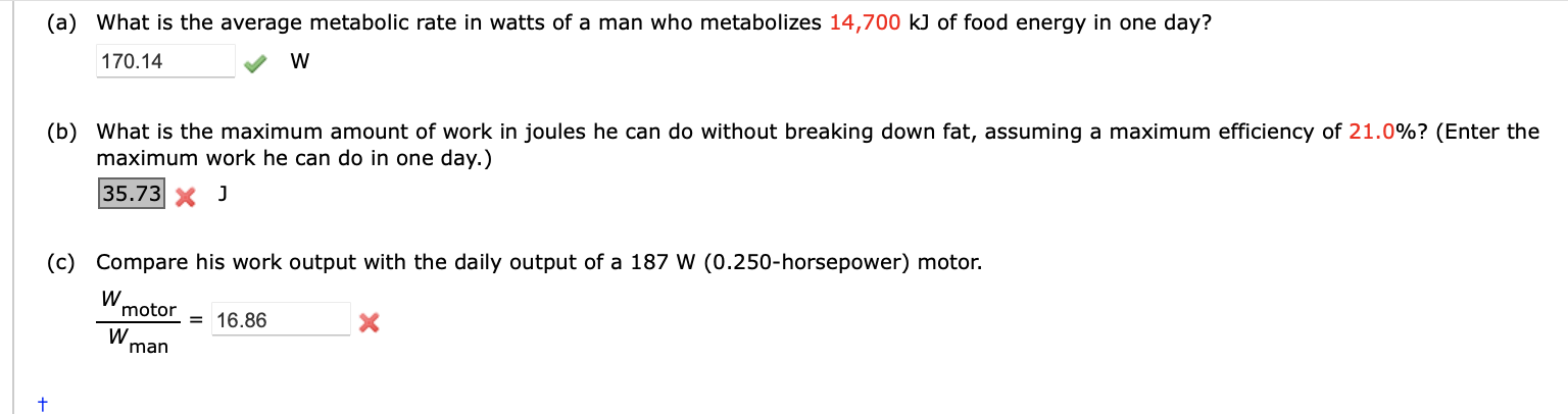 A What Is The Average Metabolic Rate In Watts Of A Man Who Metabolizes 14 700 Kj Of Food Energy In One Day 170 14 B 1