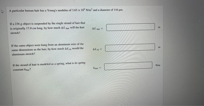 A Particular Human Hair Has A Young S Modulus Of 3 65 X 10 N M And A Diameter Of 144 Um If A 236 G Object Is Suspended 1