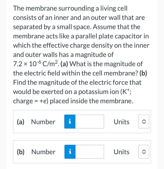 The Membrane Surrounding A Living Cell Consists Of An Inner And An Outer Wall That Are Separated By A Small Space Assum 1
