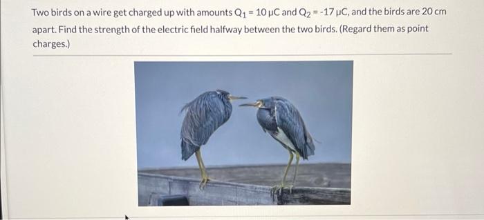 Two Birds On A Wire Get Charged Up With Amounts Q 10 Uc And Q2 17 Uc And The Birds Are 20 Cm Apart Find The Stre 1