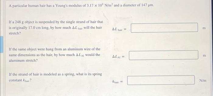 A Particular Human Hair Has A Young S Modulus Of 3 17 X 10 N M And A Diameter Of 147 Um If A 248 G Object Is Suspende 1