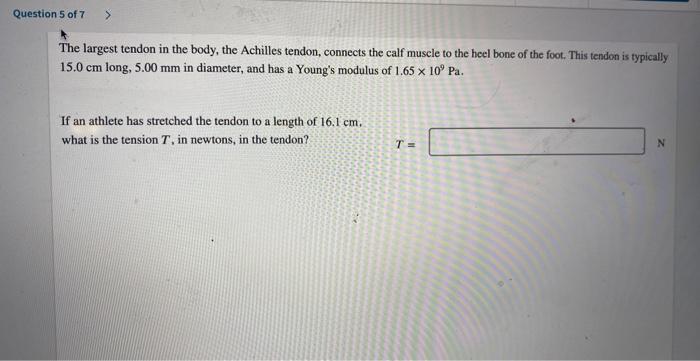 Question 5 Of 7 The Largest Tendon In The Body The Achilles Tendon Connects The Calf Muscle To The Heel Bone Of The 1